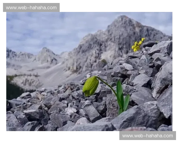 代言纪录片——将品牌与真实故事完美连接的秘密武器